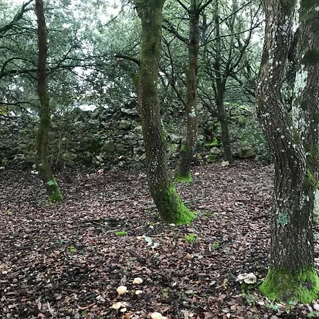 וילה Louna 4 Etoiles Ventenac-Cabardès