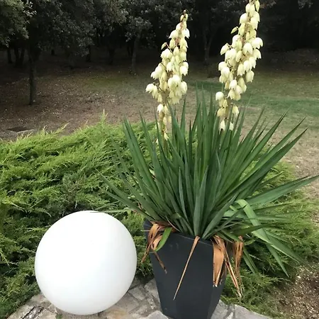 Louna 4 Etoiles * Ventenac-Cabardès