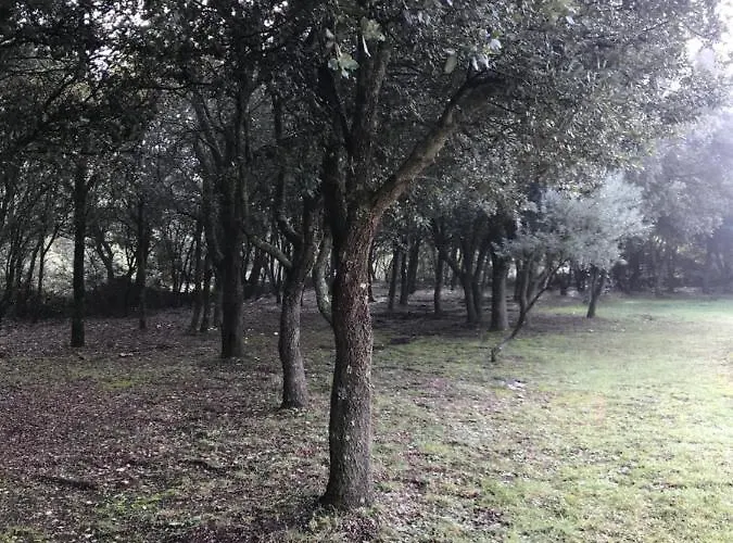 Louna 4 Etoiles Ventenac-Cabardès