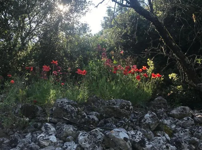 Villa Louna 4 Etoiles *