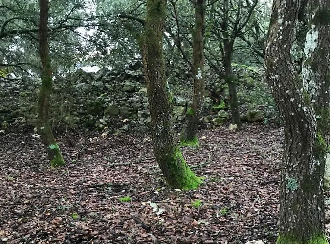 Villa Louna 4 Etoiles Ventenac-Cabardès