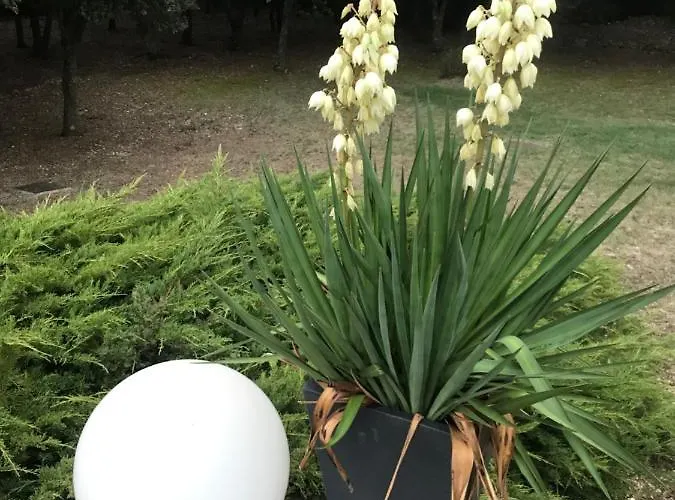 Louna 4 Etoiles * Ventenac-Cabardès